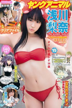 国宝特工动画片全集